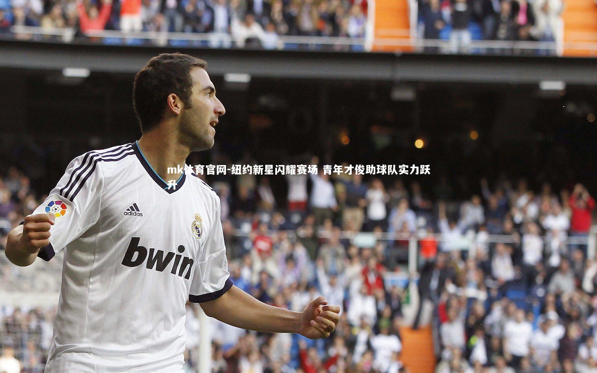 mk体育官网-纽约新星闪耀赛场 青年才俊助球队实力跃升-第2张图片-mk体育官网